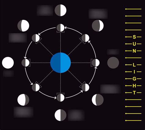 Phases of the Moon Diagram | Quizlet