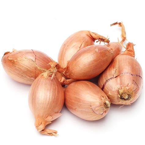 Spring onions Shallot - 0,5 kg – Garden Seeds Market | Free shipping