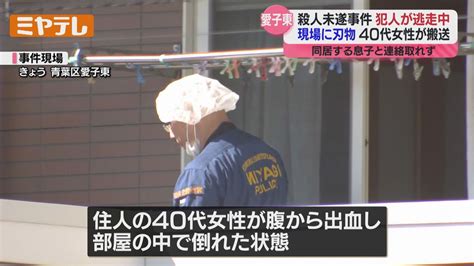 ＜同居する息子（10代）と連絡取れず＞仙台市内のアパートで女性が刃物で刺される殺人未遂事件 犯人逃走中（2024年9月17日掲載）｜日テレ