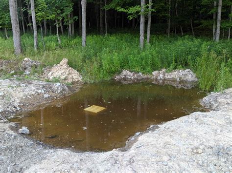 build  minnow pond easy diy guide  beginners