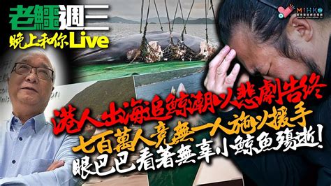 20230802《老鱷週3晚上和你live》三隧分流方案有效增加政府收入！孤獨老人長期病患排隊上路，港府濶佬懶理？謝展寰直認缺乏知識處理鯨魚