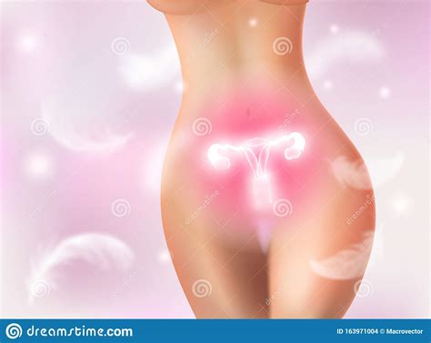 Reproductive System Background Stock Vector Illustration Of Naked Health 163971004
