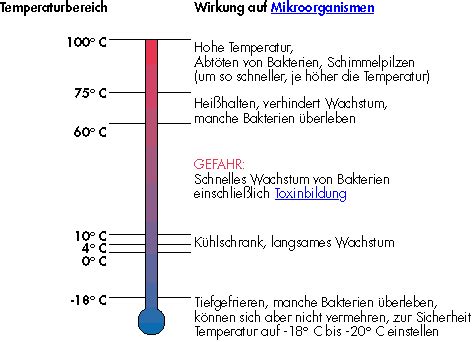 Sieben Hauptregeln Zum Hygienischen Umgang Mit Lebensmitteln