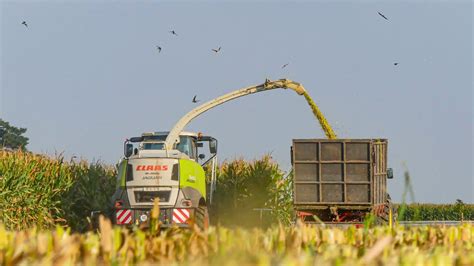 Oporowa Kiszonka Z Kukurydzy 2024Nowy Nabytek W AkcjiUr Klupieccz 1