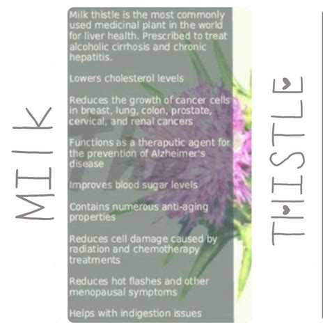 Health Benefits: Milk Benefits Health