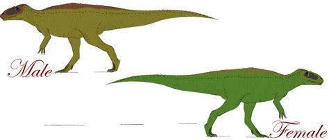 Male And Female Yangchuanosaurus Color Schemes By Keegz97 On Deviantart