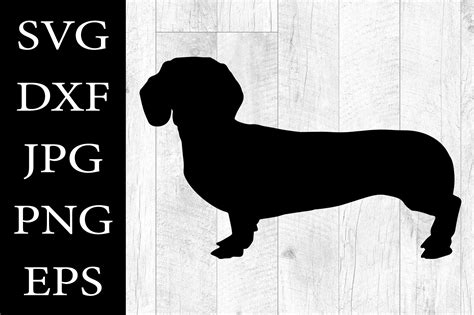 Dachshund Silhouette SVG Dachshund Dog Graphic by Aleksa Popovic ...