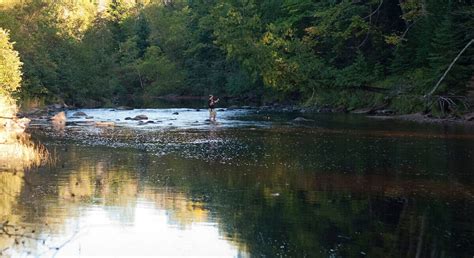 DIY Guide to Fly Fishing the Sturgeon River in Michigan | DIY Fly Fishing