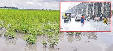 వర్ష బీభత్సం Rains Are Flooding The State Ngts Andhrapradesh