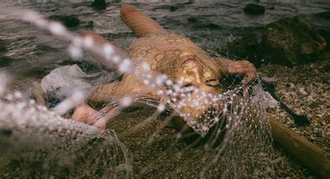 X Kh Ng S B N M Khi Ch P Nh Nude B O V M I Tr Ng