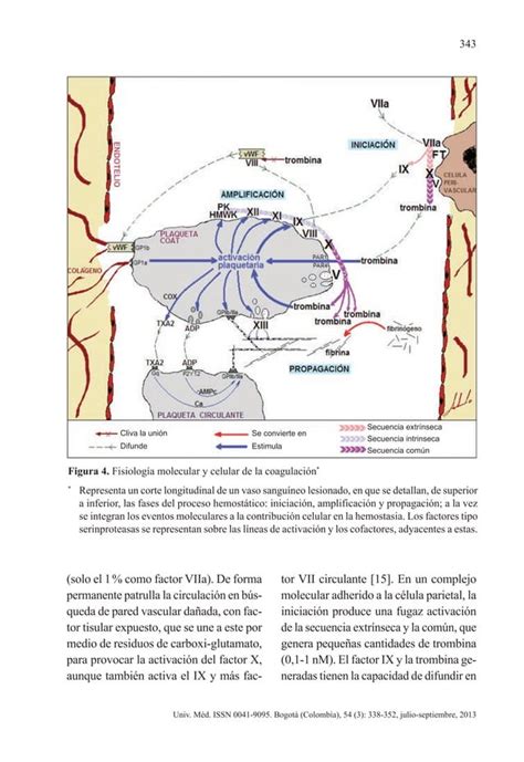 Fisiologia De La Coagulacion PDF