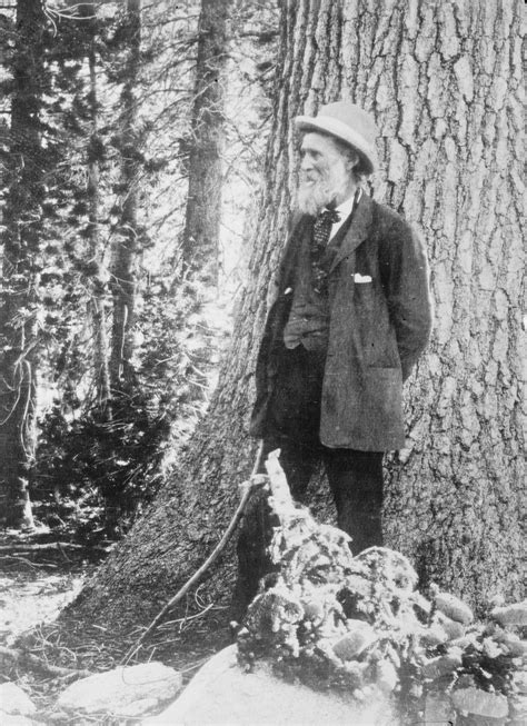 john muir biography sierra club racism national parks legacy