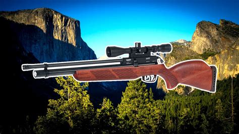 Best Air Rifles Of 2021 Gamo Coyote Pcp Air Rifle Hunter