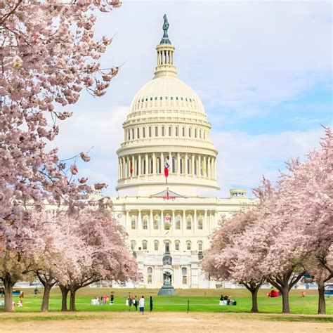 Premium Photo Usas Capital City Of Washington Dc