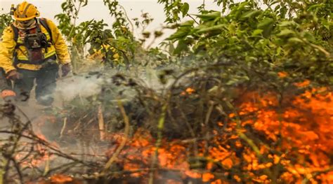 Pantanal Poder Ter Crise H Drica Hist Rica Em Aponta Estudo