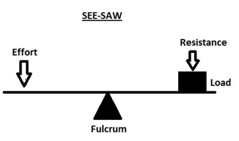 What type of lever is the seesaw