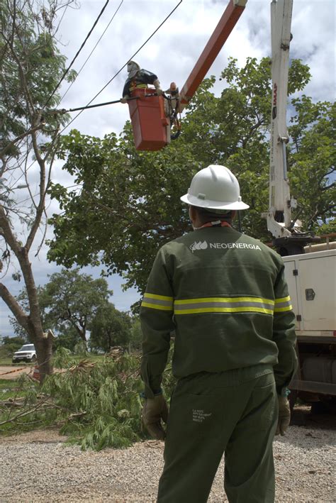 Neoenergia Bras Lia D Dicas De Seguran A Sobre Poda De Rvores E