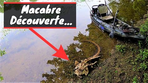 Cadavre De Silure D Compos Et Brochets Au Leurre Youtube