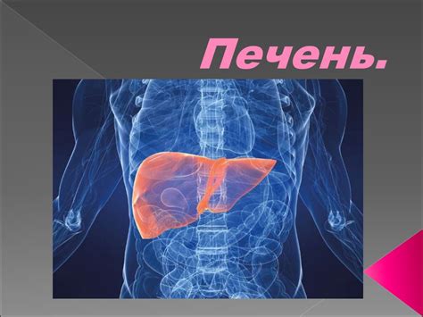 Печень - презентация онлайн