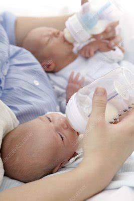 Mother Feeding Two Week Old Twins Stock Image F Science