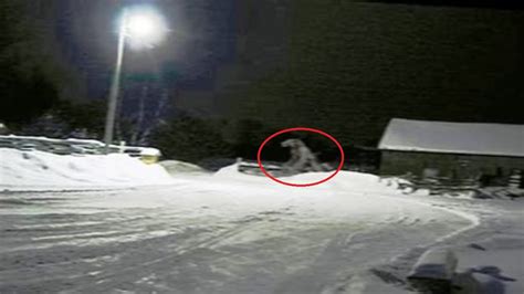 Dogman Encounters and Sightings - YouTube