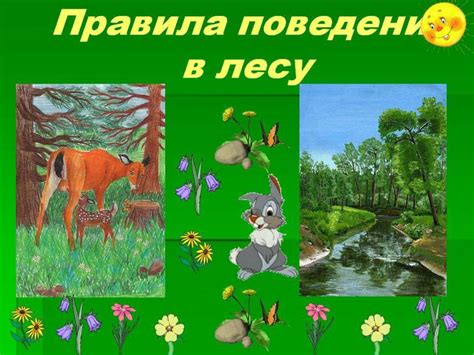 Поведение в лесу. Памятка - презентация онлайн
