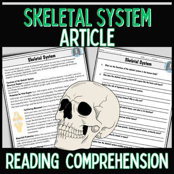 Skeletal System Reading Passage Comprehension Question Worksheet In