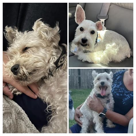 FURRY FRIENDS HAVE FEELINGS 2 -NO DRAMA PAGE | Update: FOUND!!! Thanks
