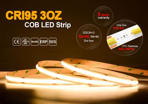 Coxo Ra Cob Led Strip Ce Rohs Years Warranty V High Brightness