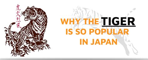 white tiger  chinese culture  joshua william blog
