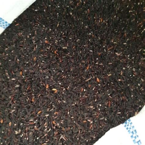 Jual Beras Ketan Hitam 1 Kg Shopee Indonesia