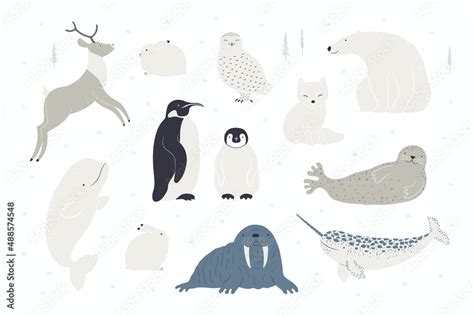 Cute Arctic Animals Big Set Polar Bear Penguin Arctic Hare Fox