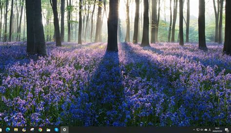windowsdesktopbackground