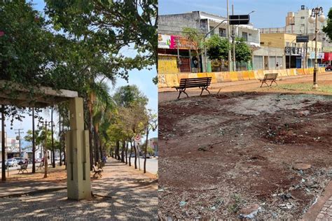 Considerada a capital mais arborizada do país Goiânia perde espaços