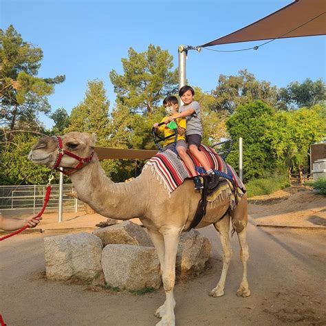 Arizona zoo - When In Your State