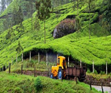 Memorable Kochi Tour Package For Days Munnar Kochi Trip Package