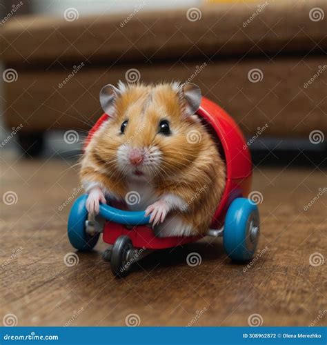 why is hamster hiding easily 5