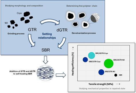 Polymers Free Full Text Setting Relationships Between Structure And