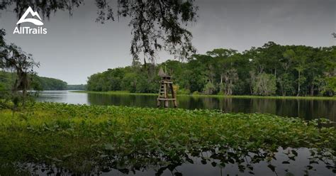 Best Trails in Ocala National Forest - Florida | AllTrails