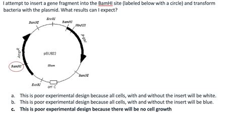 Solved The following primers have an issue, making them not | Chegg.com 
