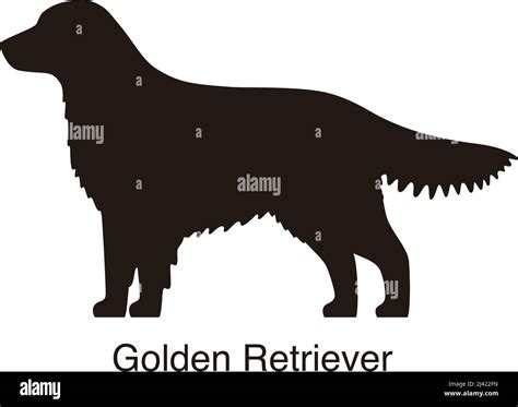 Golden Retriever Dog Silhouette Side View Vector Illustration Stock