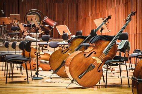 A Napoli Concerti Gratuiti Del Conservatorio Di San Pietro A Majella