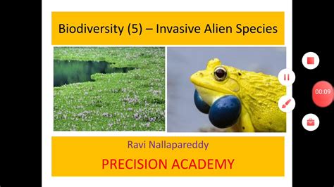 Biodiversity 5 Invasive Alien Species Youtube