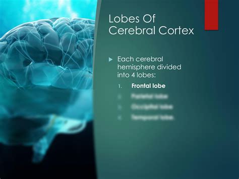 SOLUTION: Areas function of cerebral cortex lec 5 - Studypool