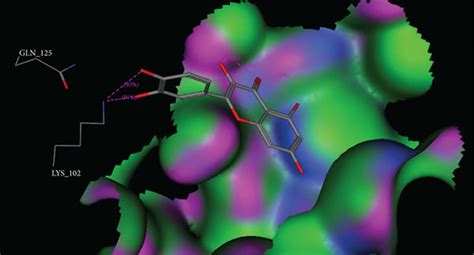 D Binding Mode Of Quercetin Inside Gst Enzyme Pdb Id Gs