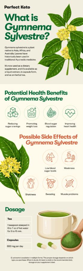 Gymnema Sylvestre Uses Benefits Side Effects And More Perfect Keto