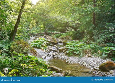 Old Wooden Bridge Over A Mountain Creek In The Forest In Morning