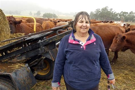 Farmers Fork Out Tens Of Thousands Of Dollars To Feed Cattle As Dry