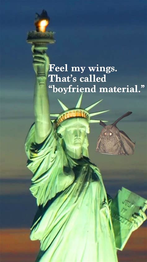 Moth lamp meme | Memes, Funny memes, Funny pictures