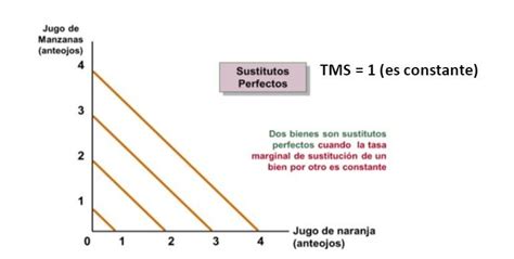 Las Curvas De Indiferencia Y Su Tasa Marginal De Sustituci N Tms